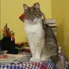 Отзыв от Дарья Никитина